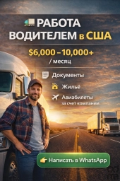 Водитель в Сша